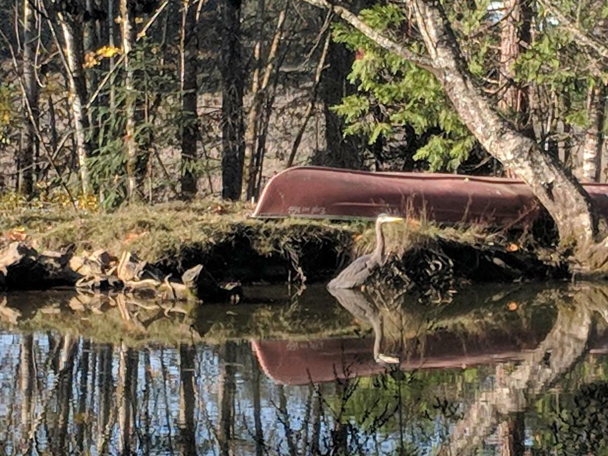 Healing Ponds Farm Βίλα Buxton Εξωτερικό φωτογραφία